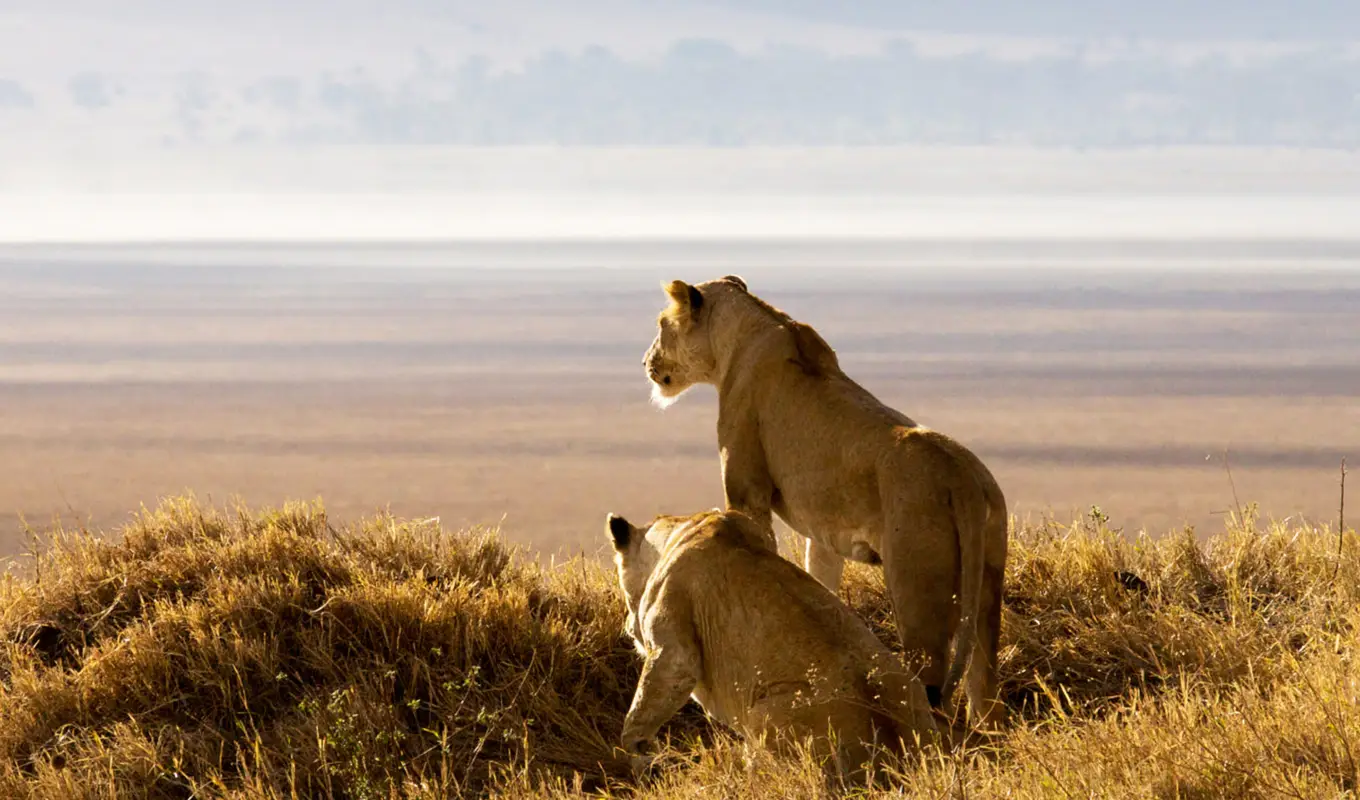 9 Days Kenya Premier Safari Journey