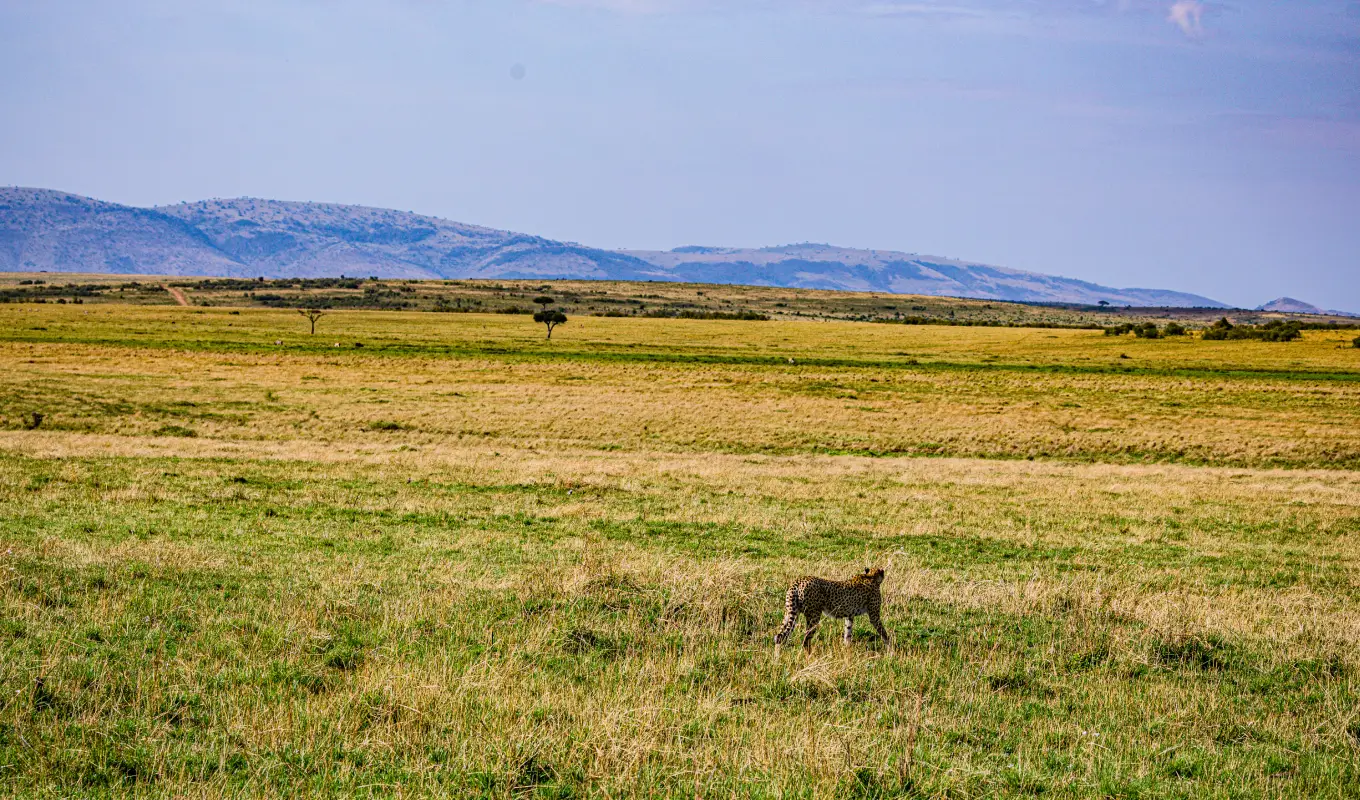 9 Days Kenya Premier Safari Journey