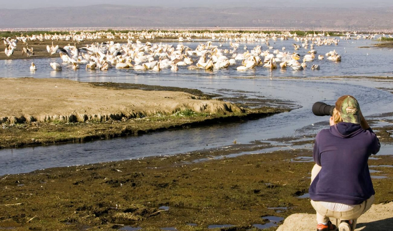 9 Days Kenya Safari Flamingos