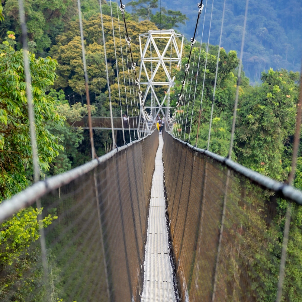 9 Days Primate & Wildlife Safari by Helicopter Attraction