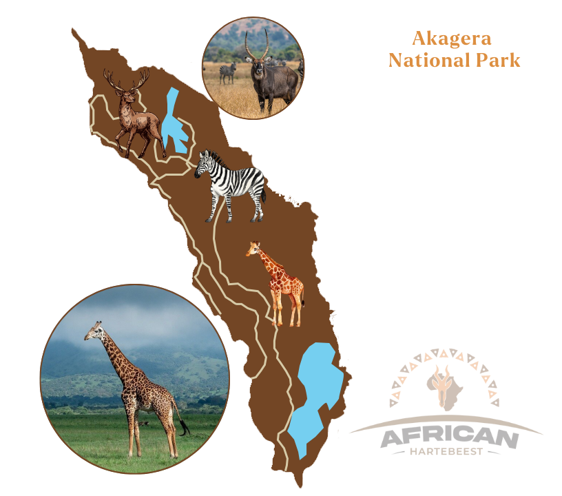 Akagera National Park Map