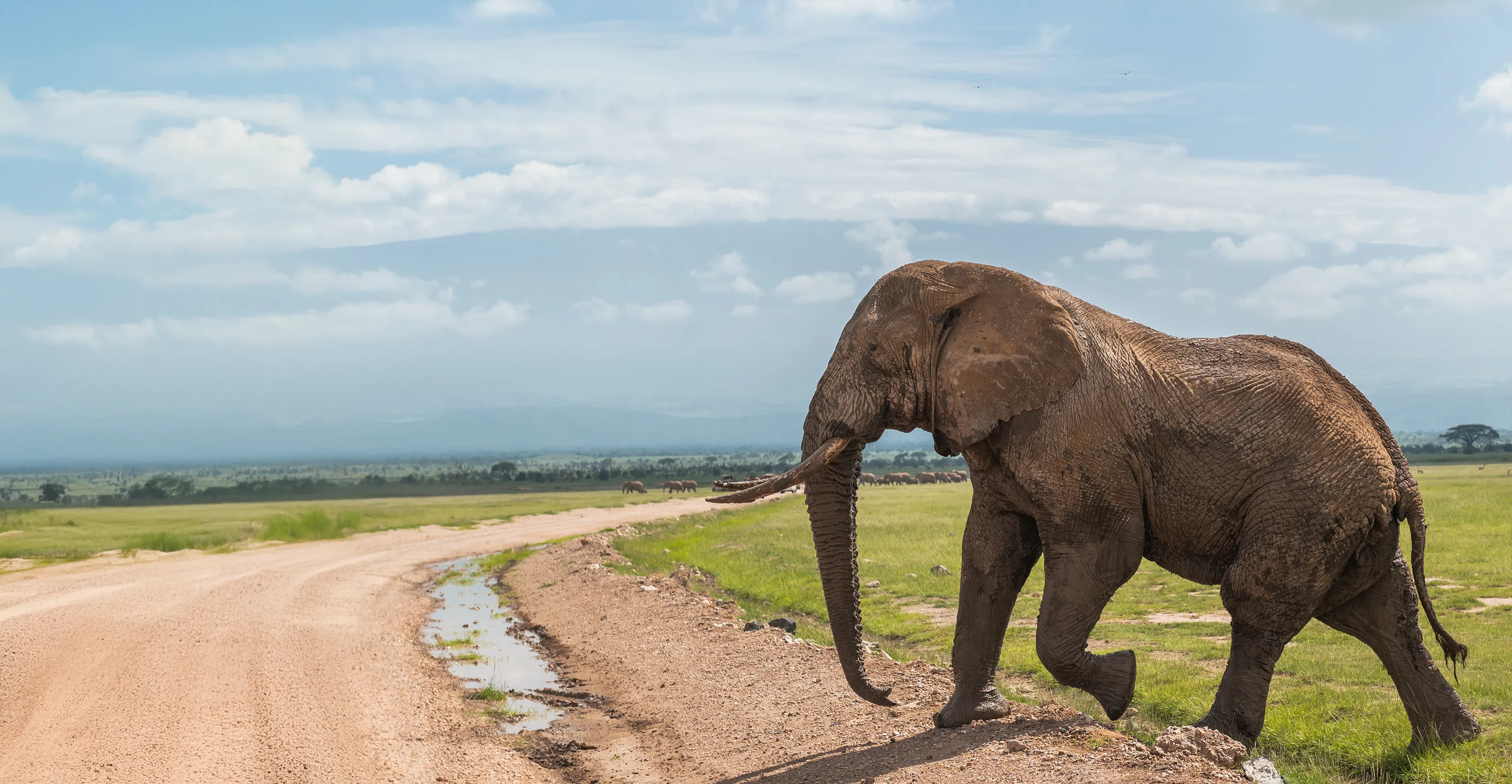 Amboseli National Park