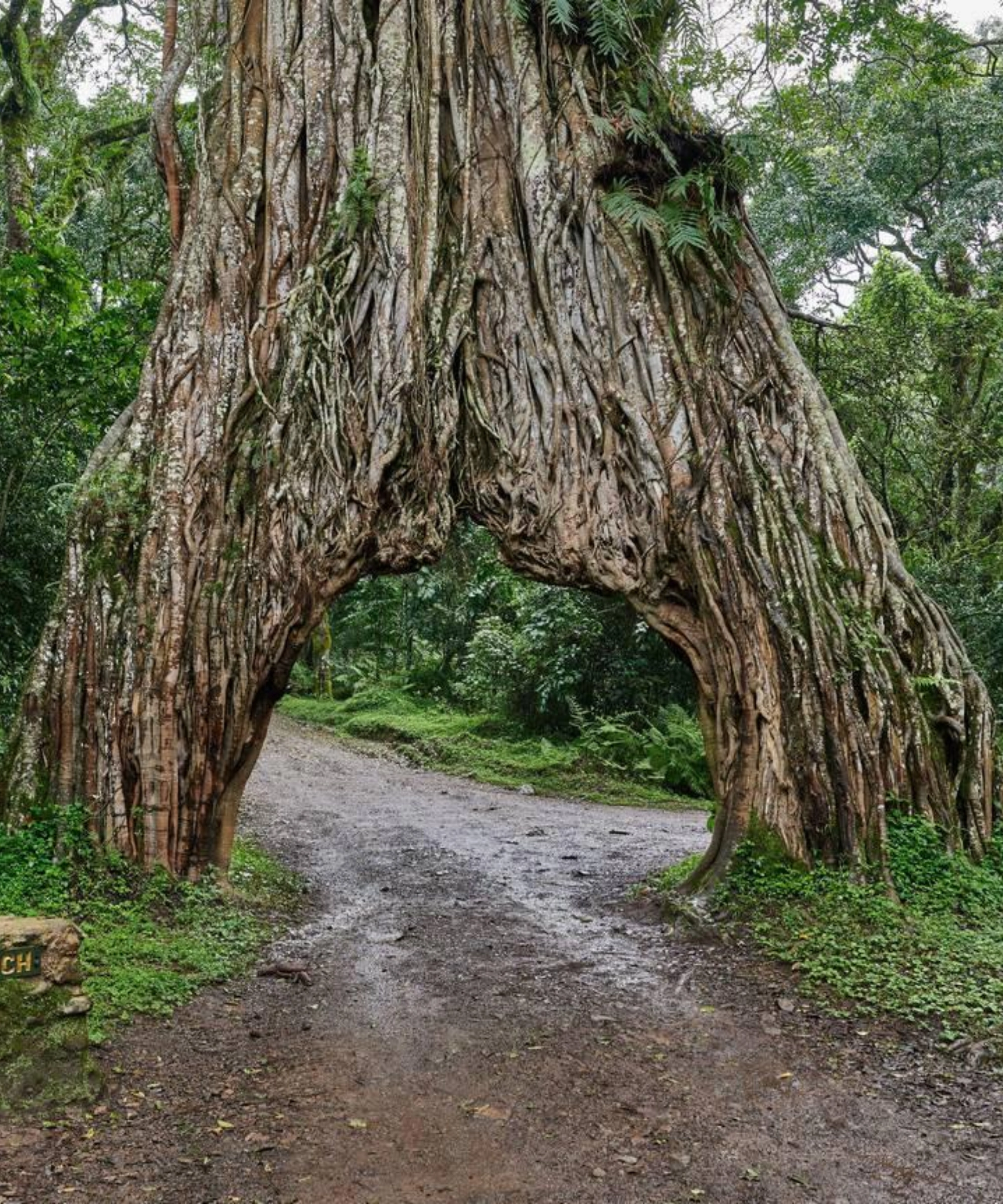 Arusha National Park Weather