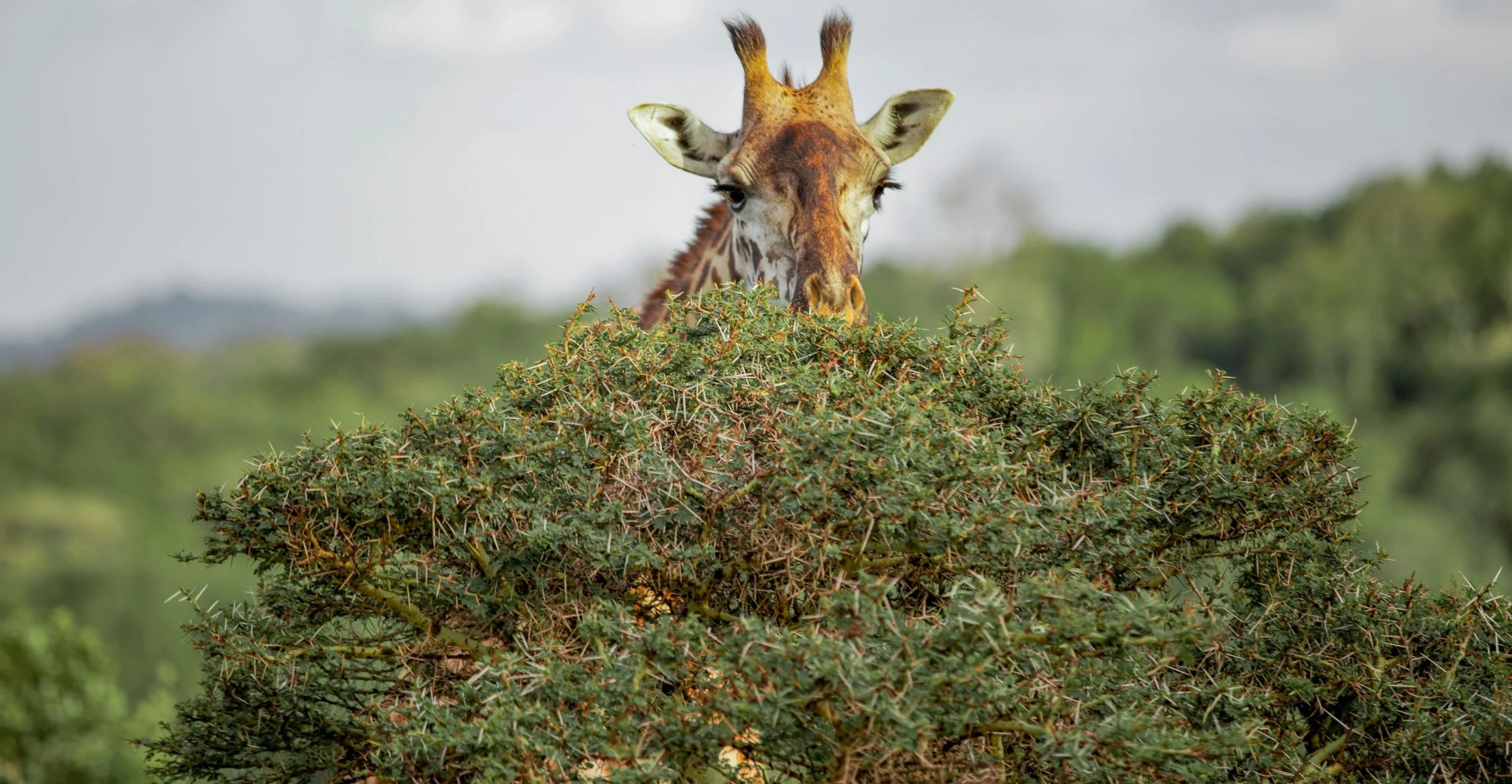 Arusha National Park
