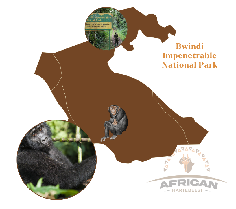 Bwindi Impenetrable National Park Map