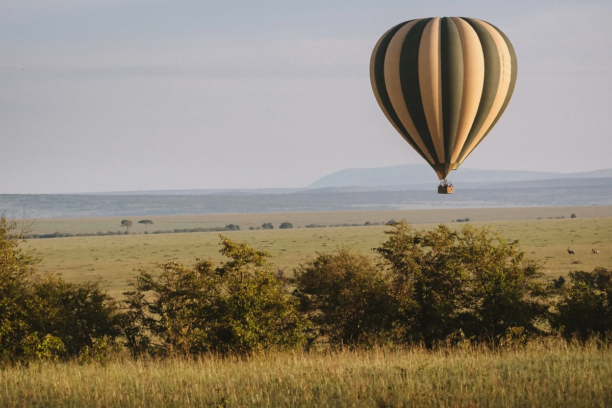Hot Air Balloon Safari