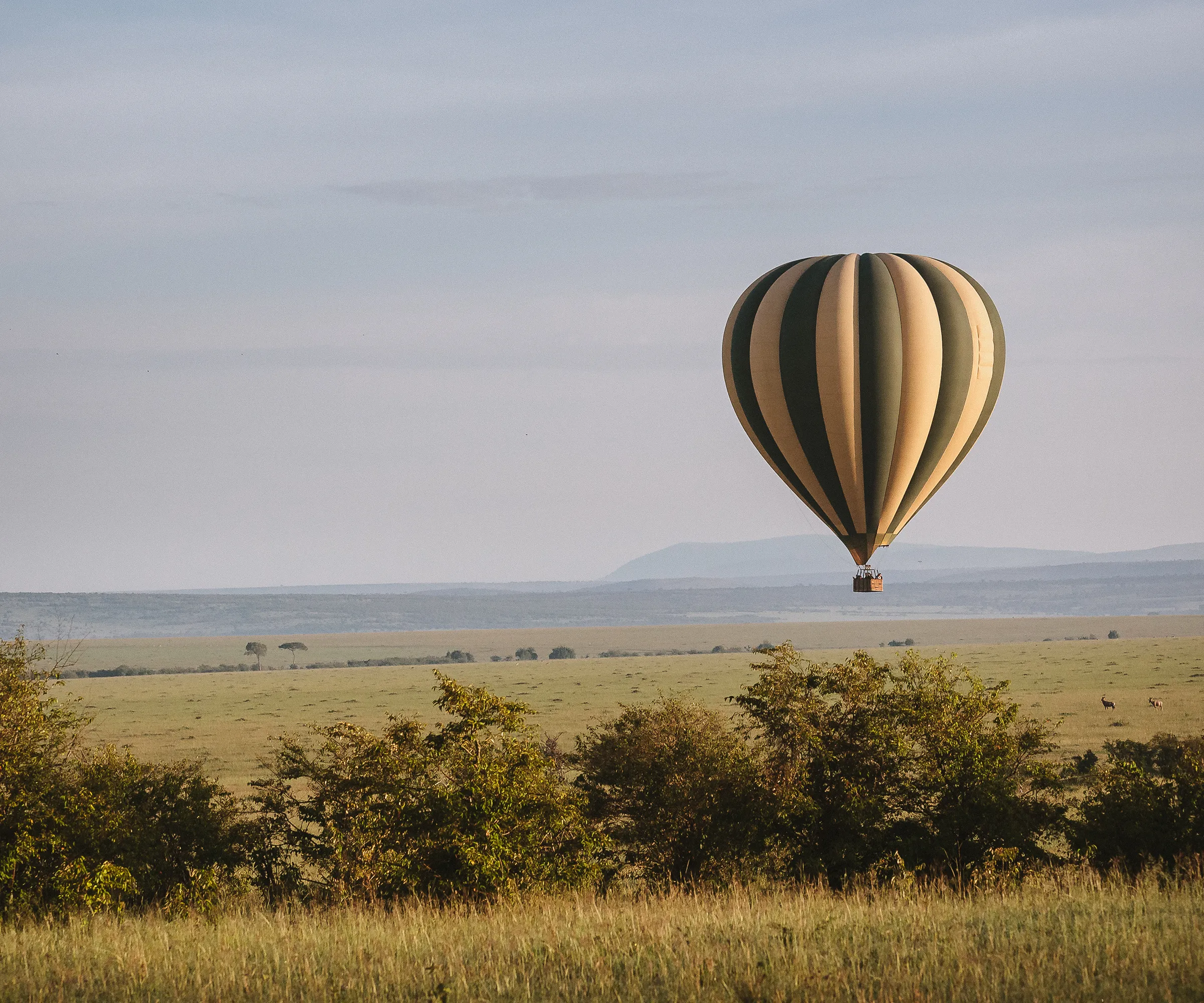 Hot Air Ballon Safari