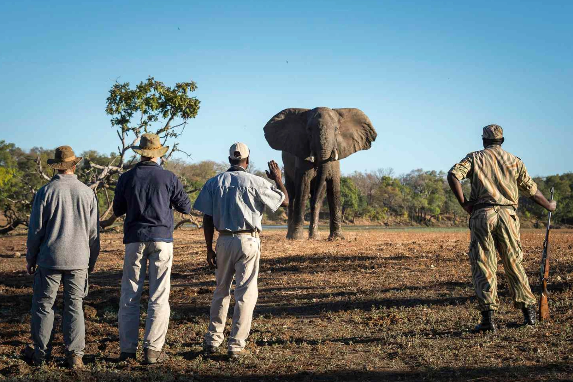 Is Kenya Safe To Travel Wildlife