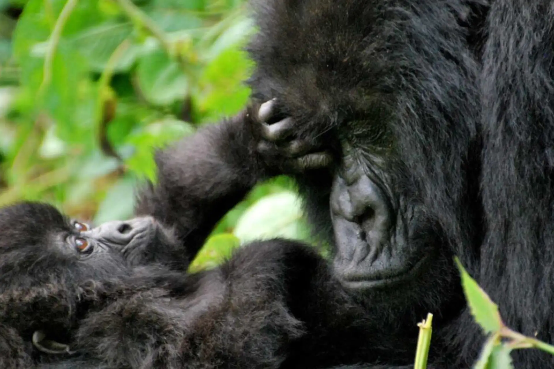 Is Rwanda Safe To Travel