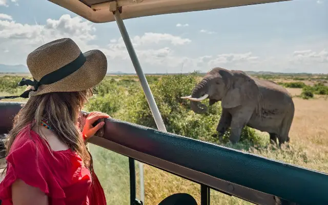 6 Days Classic Northern Circuit Safari