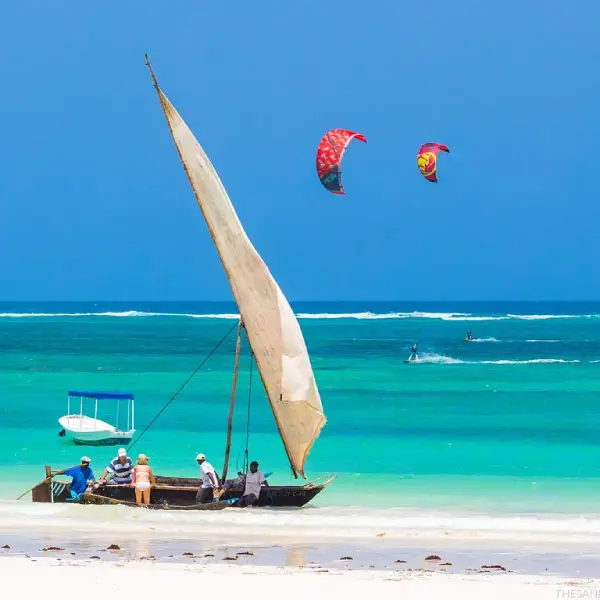 Kenyan Coast Cheetah
