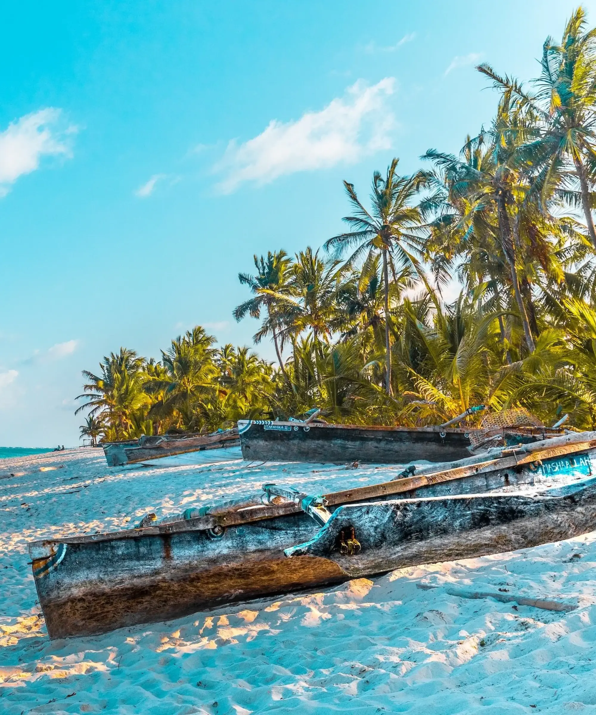 Kenyan Coast Game Drives