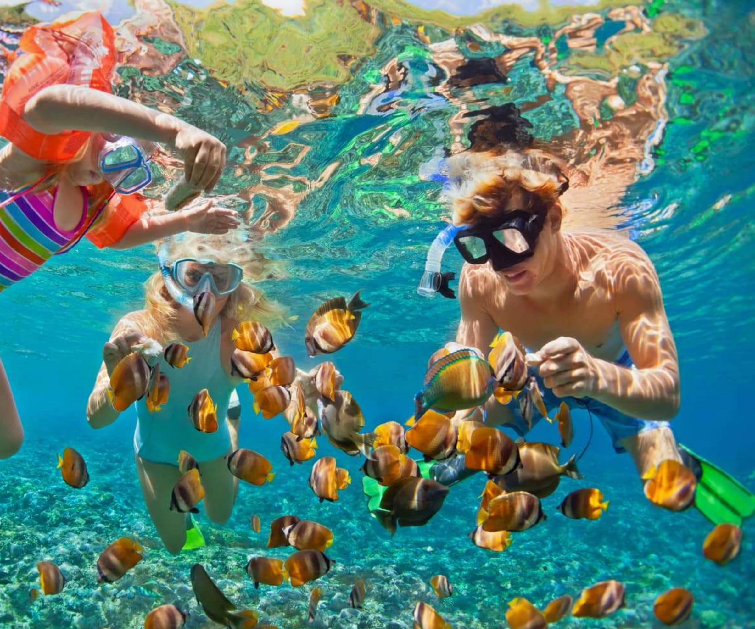 Snorkeling and Diving