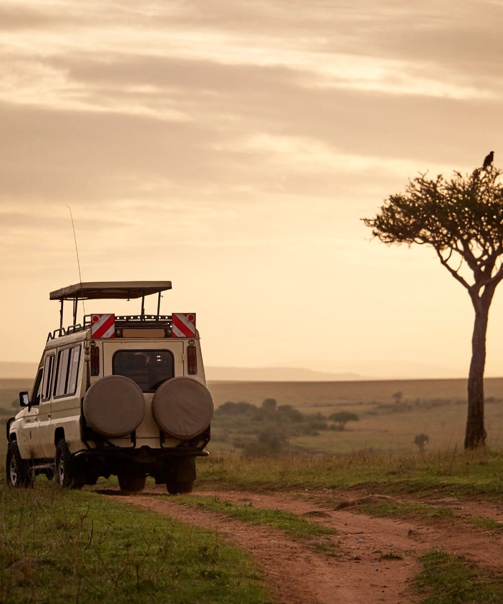 Kenya Safari Cost Attractions