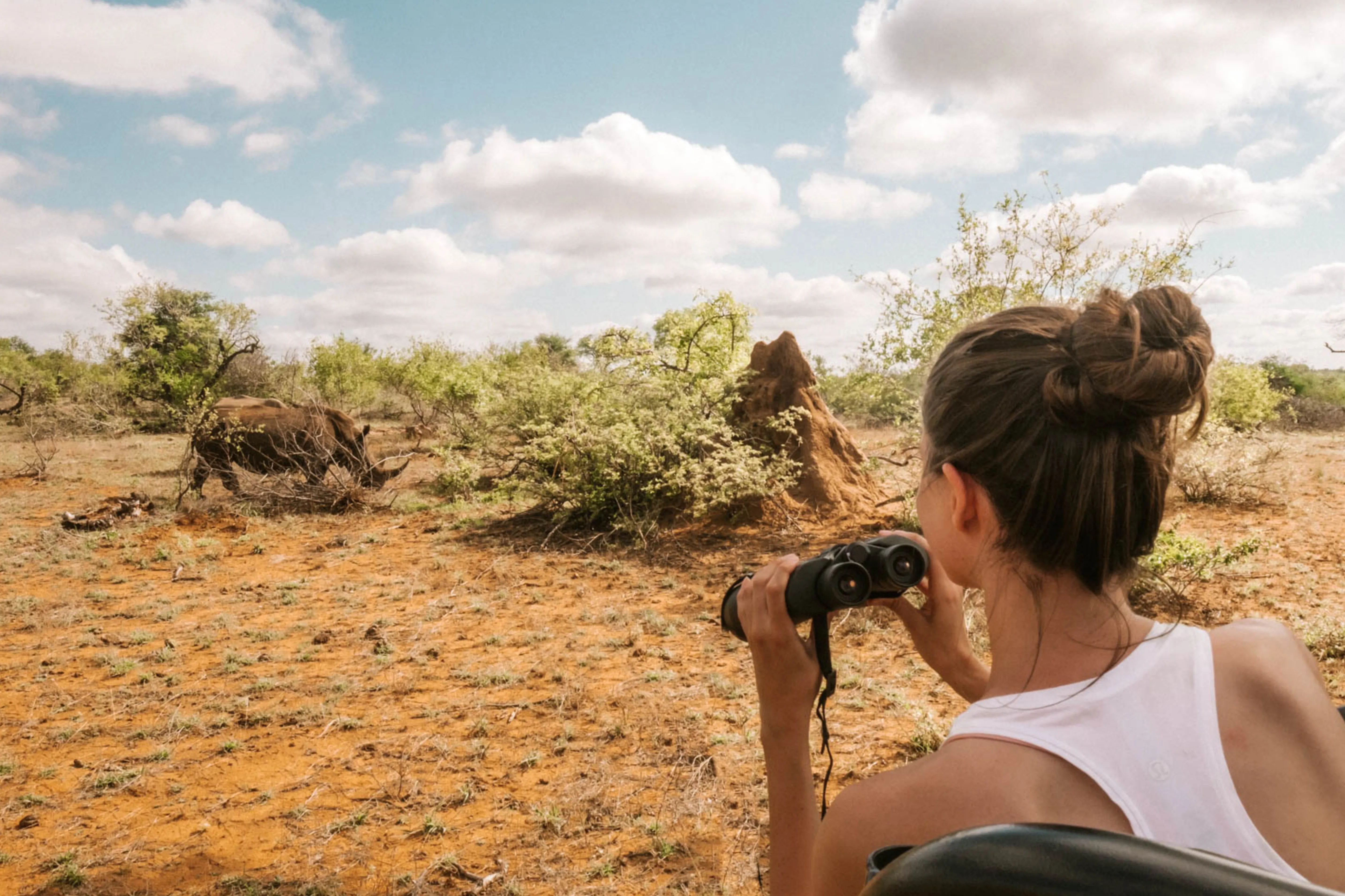 African Hartebeest