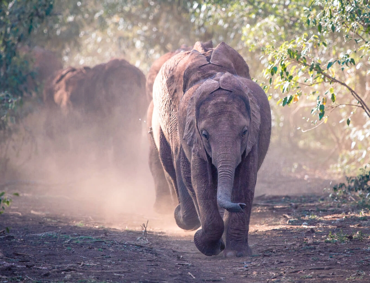 Kenya Travel Insurancet