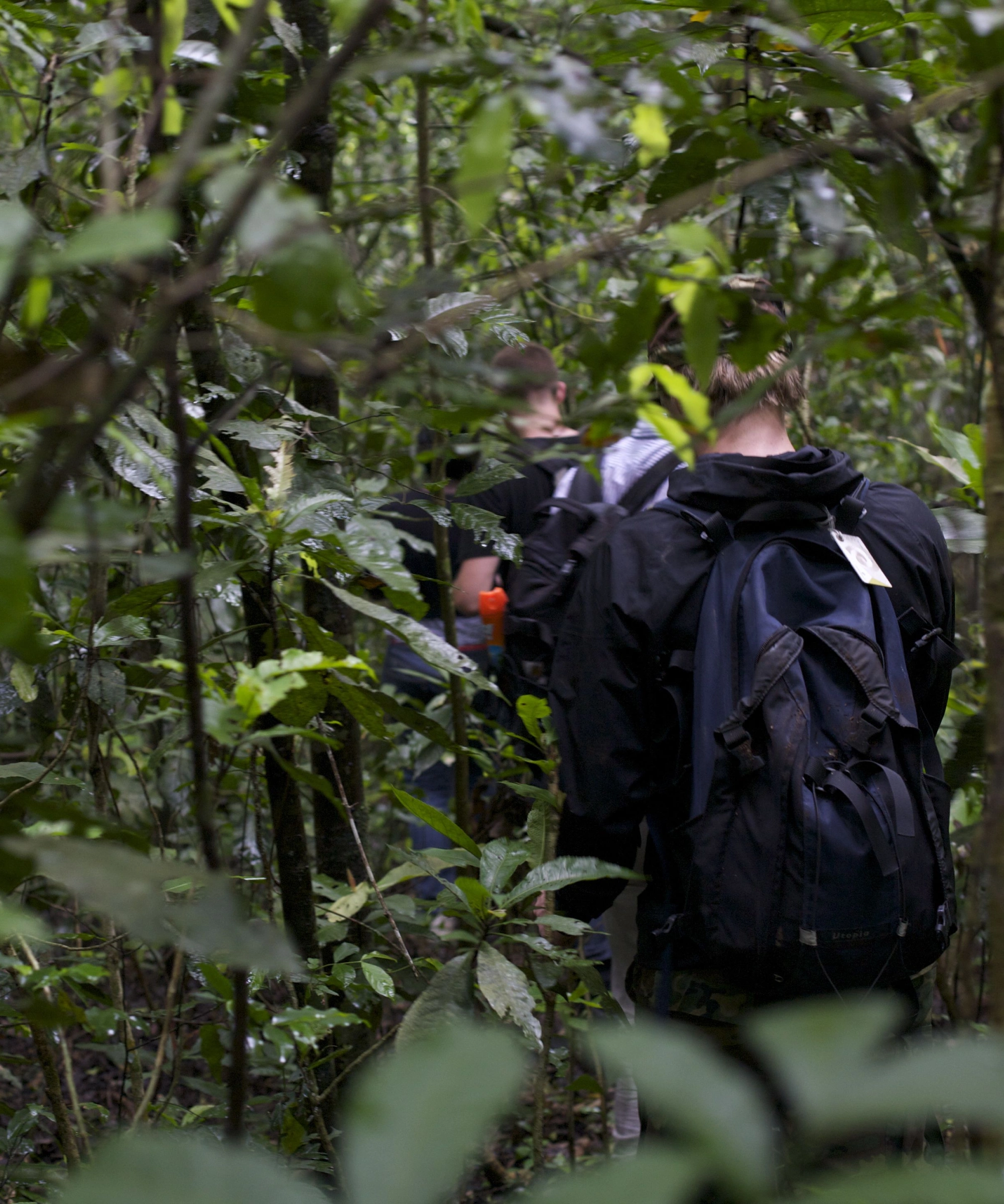 Kibale National Park Trekking