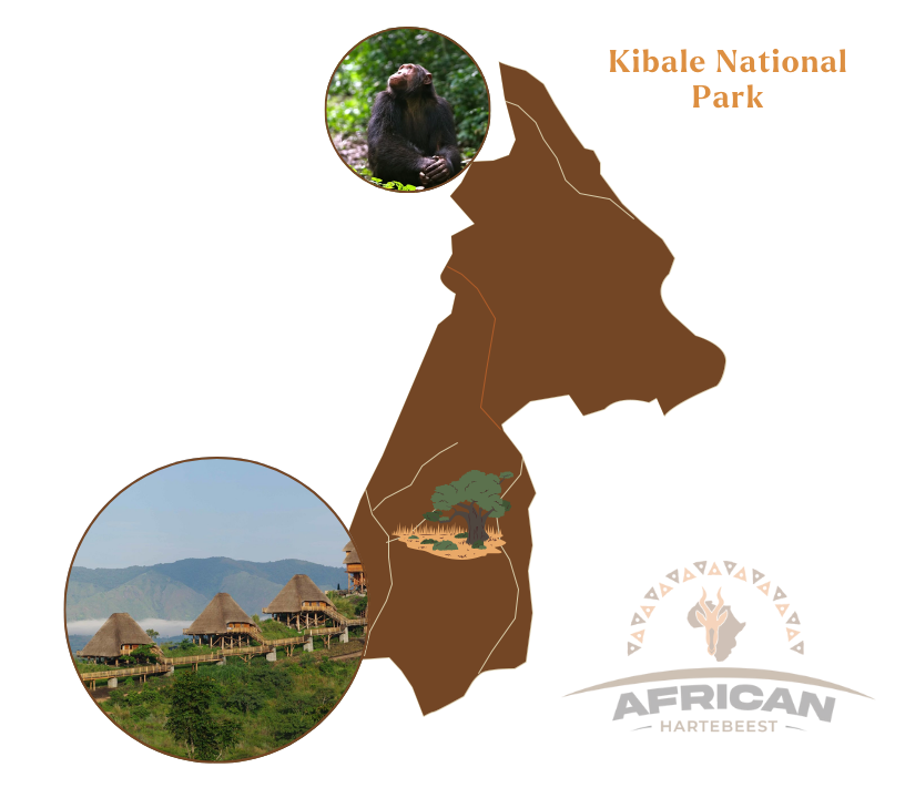 Kibale National Park Map