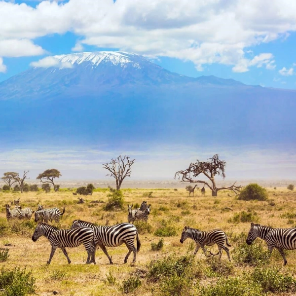 Kilimanjaro National Park Attractions