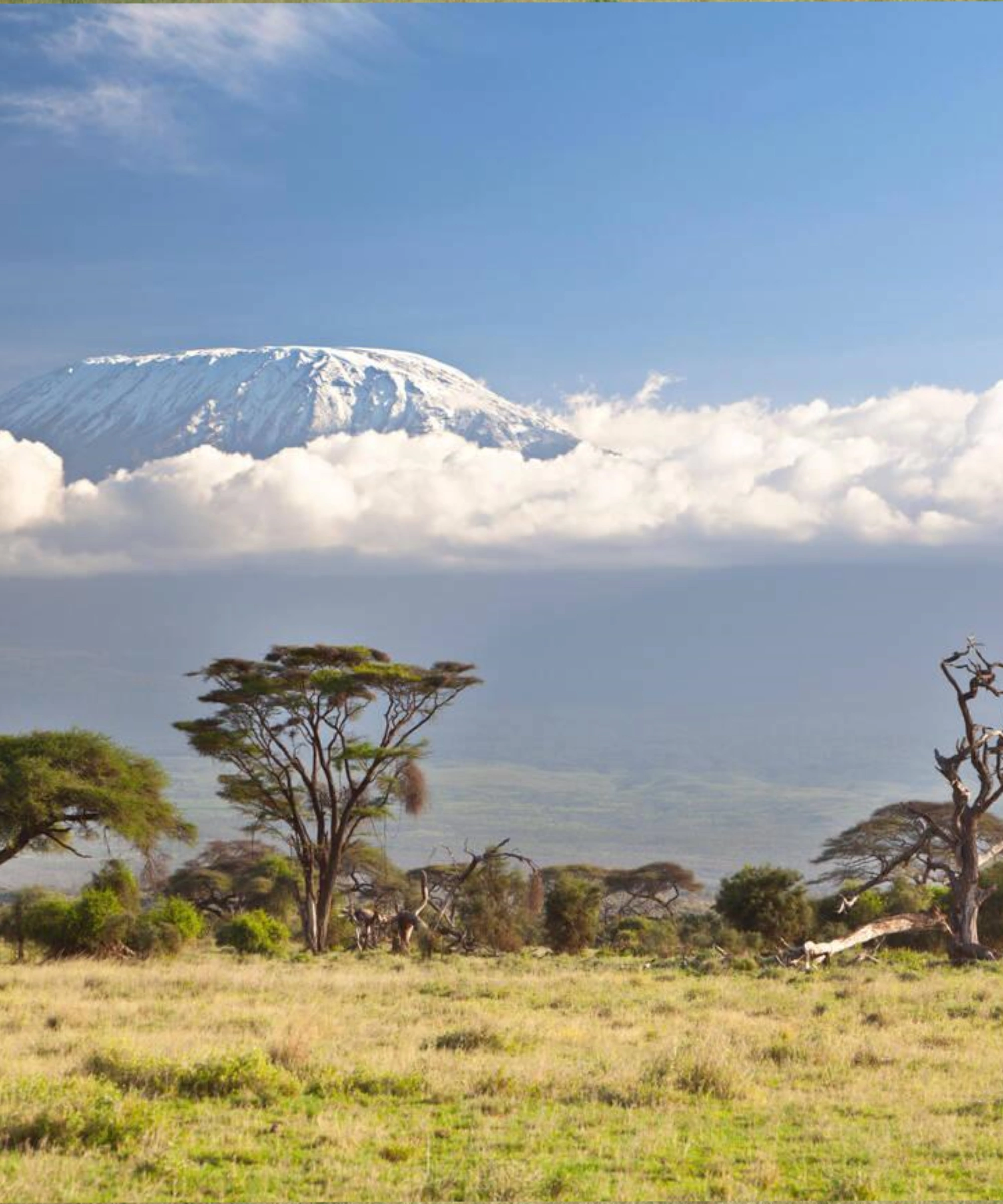 Kilimanjaro National Park Attractions