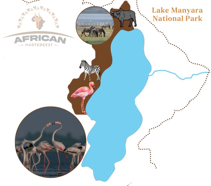 Lake Manyara National Park Map