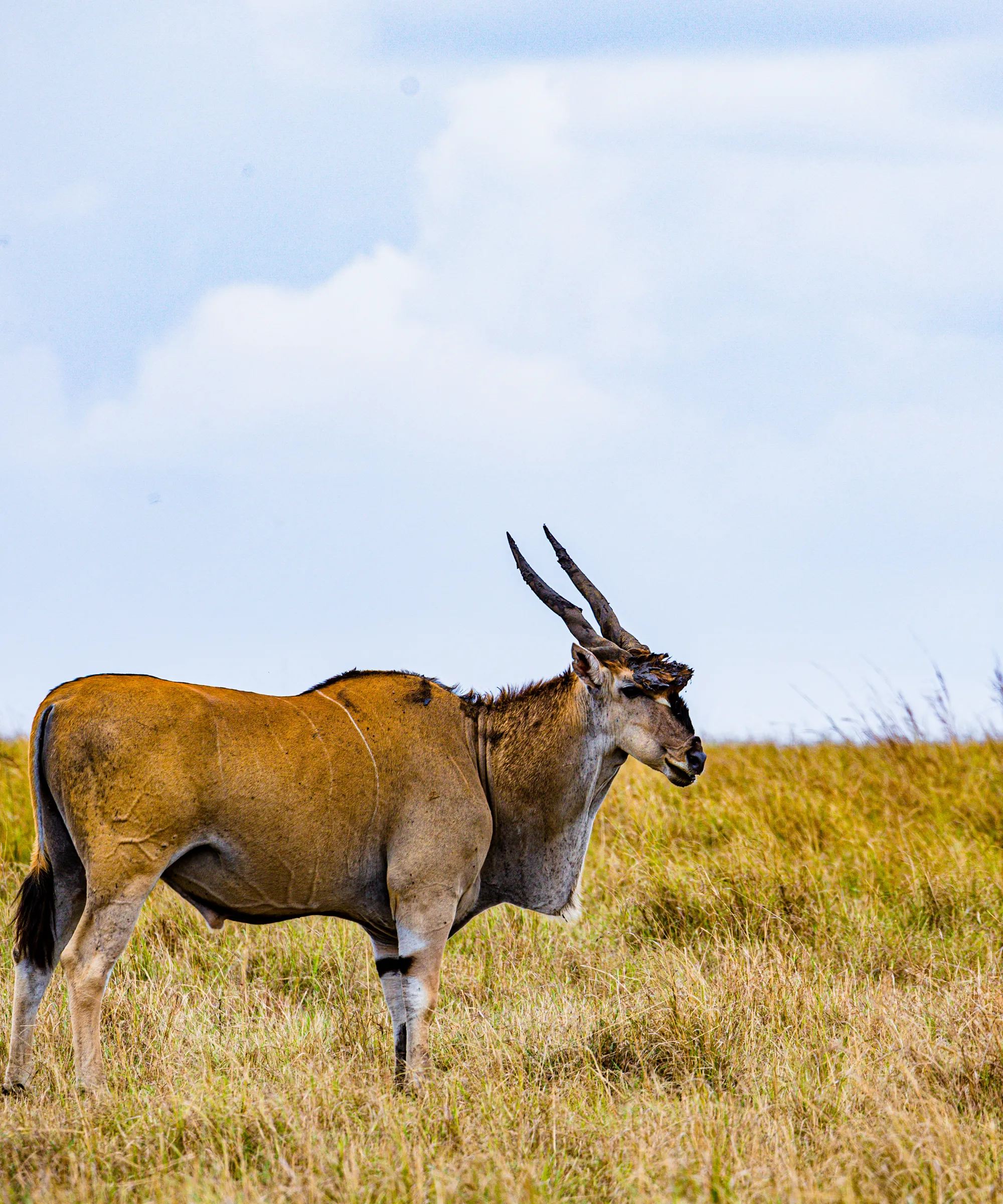Lake Nakuru National Park Attraction