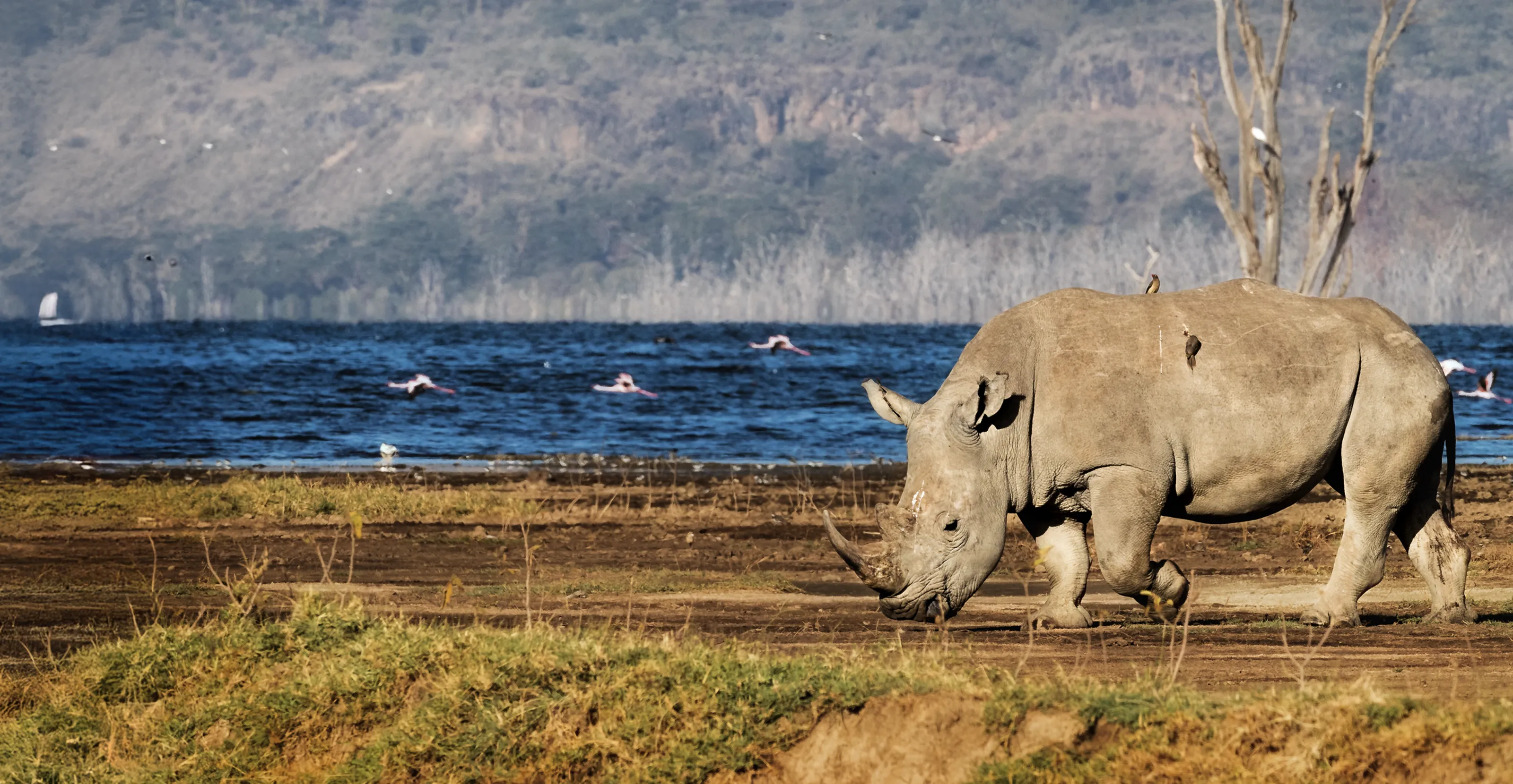 Lake Nakuru National Park