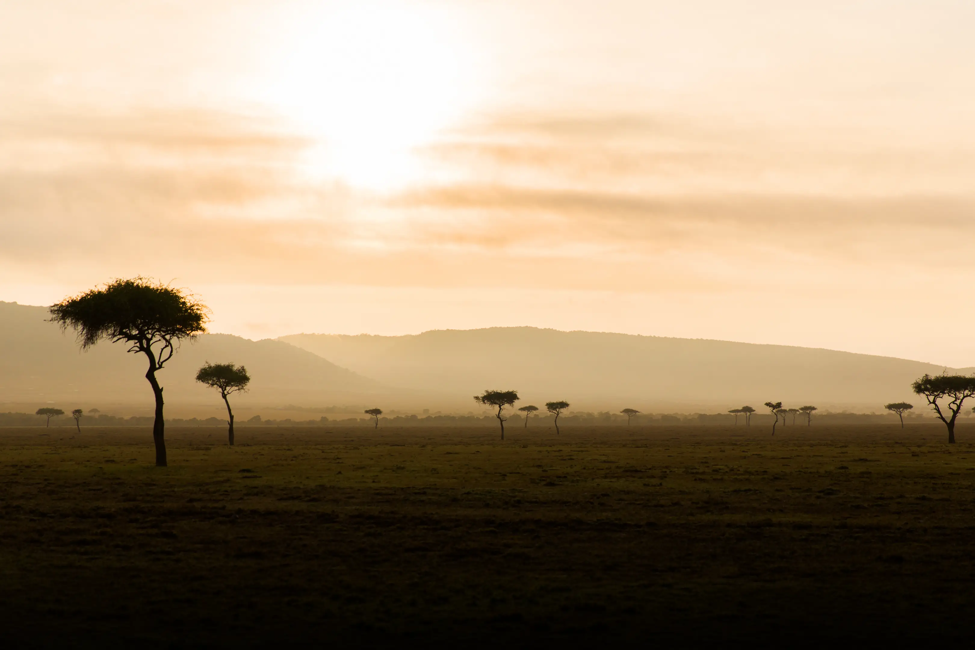 Lewa Wildlife Conservancy Whispers of Wilderness