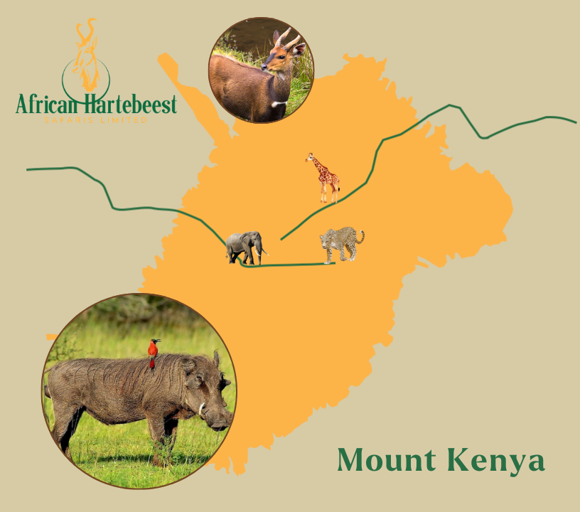 Mount Kenya National Park Map