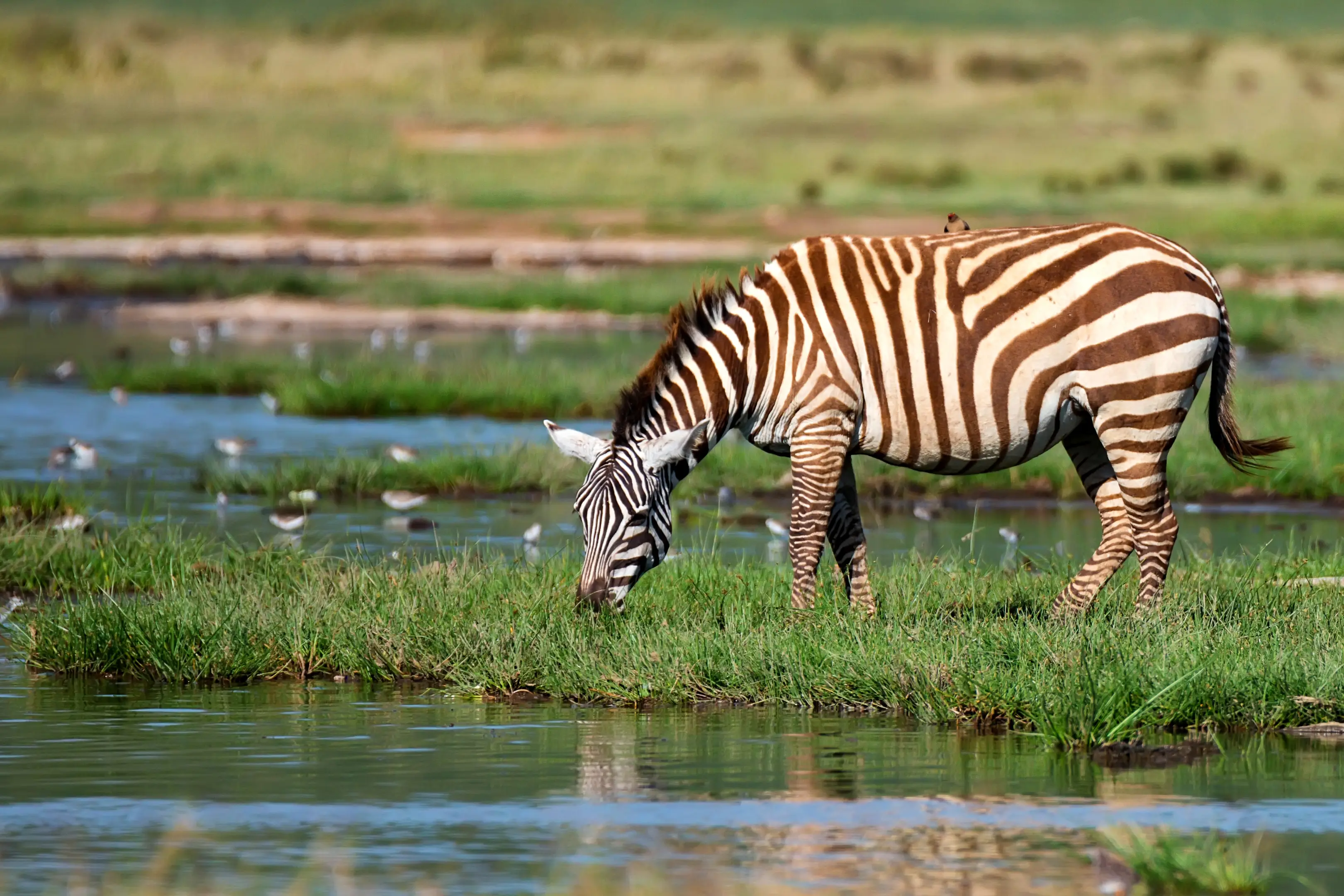 Rift Valley Lakes Shadows and Stillness