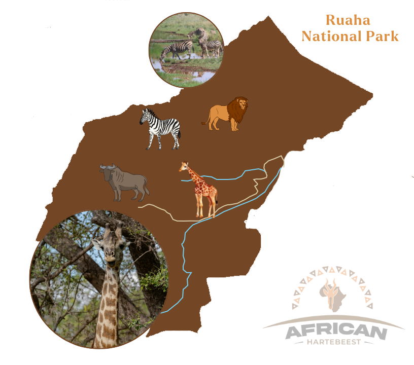 Ruaha National Park Map