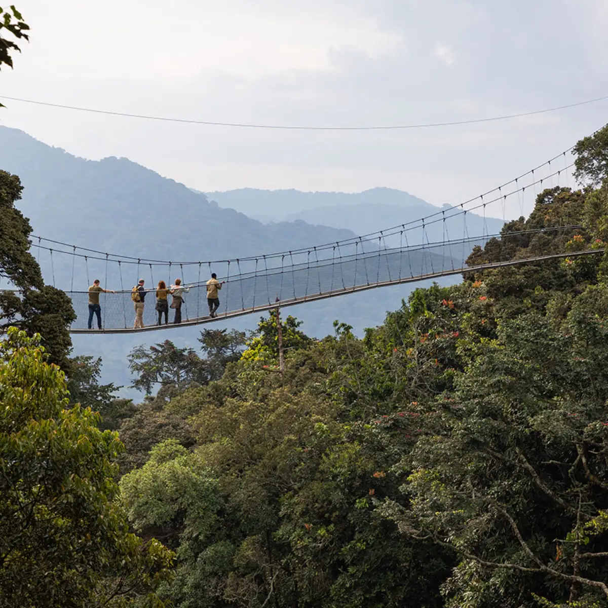 Travel insurance for Rwanda