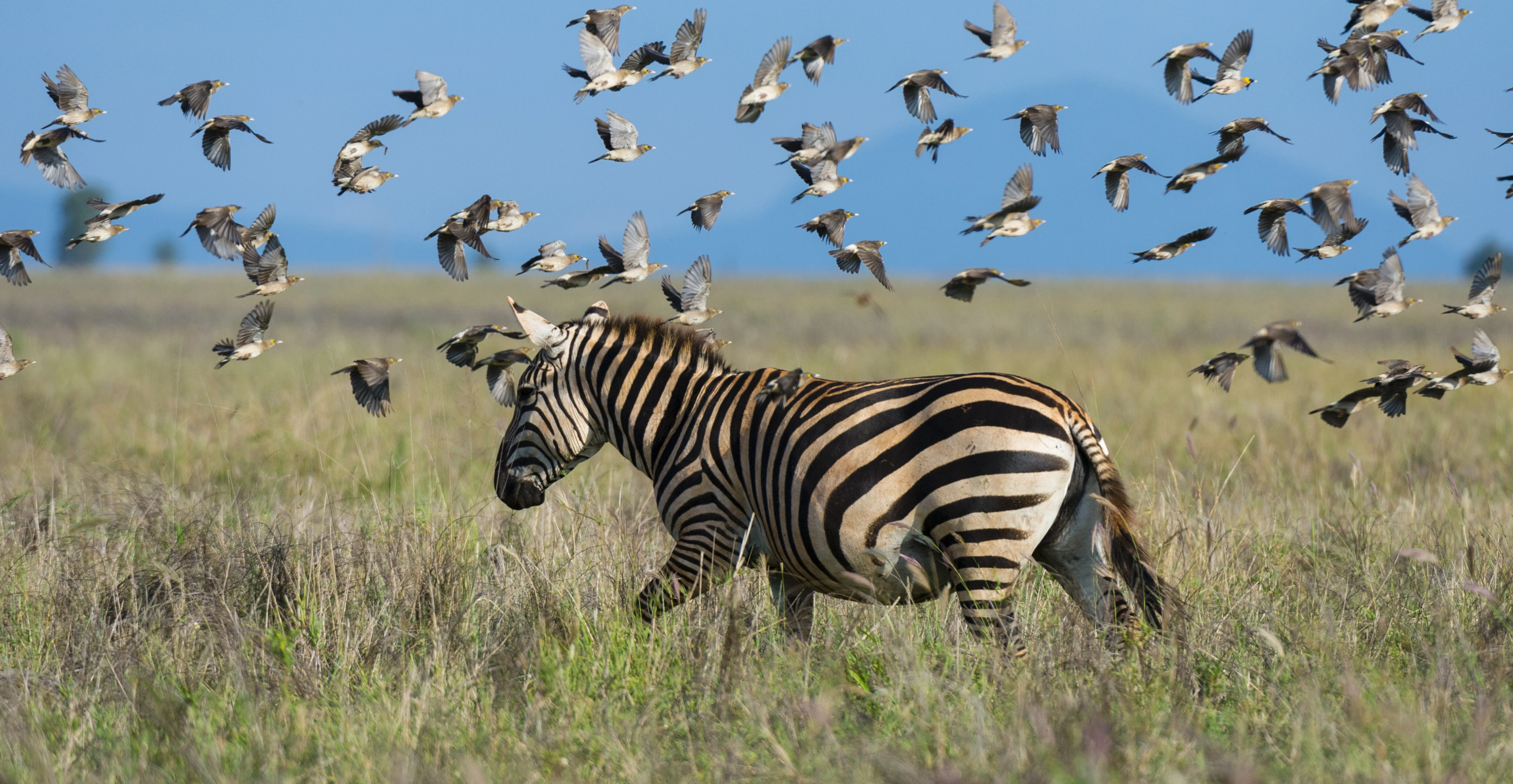 Serengeti National Park