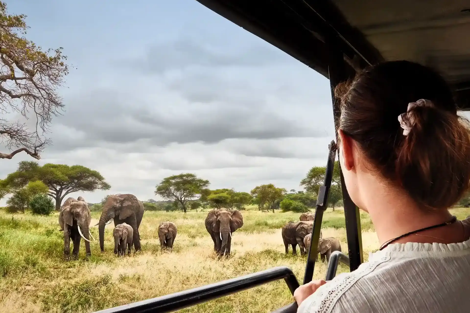 Tanzania Safari Cost 