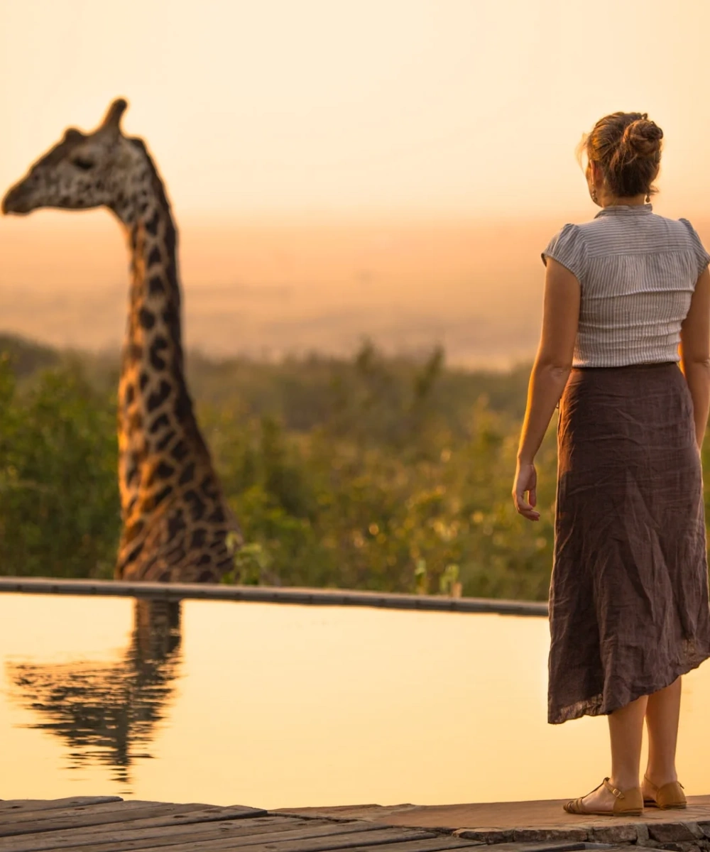 African Hartebeest Wildlife