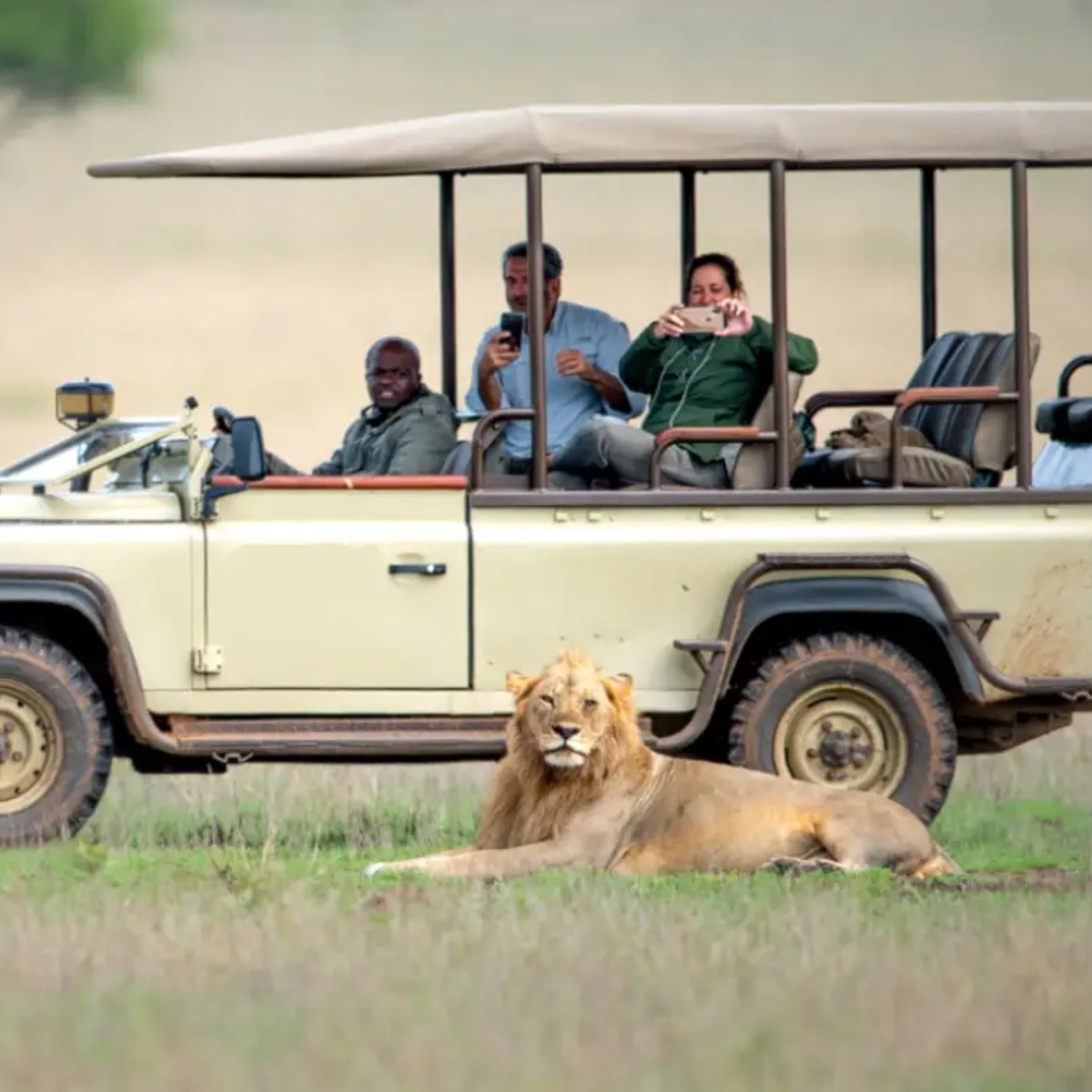 Things To Do In Kenya Attractions