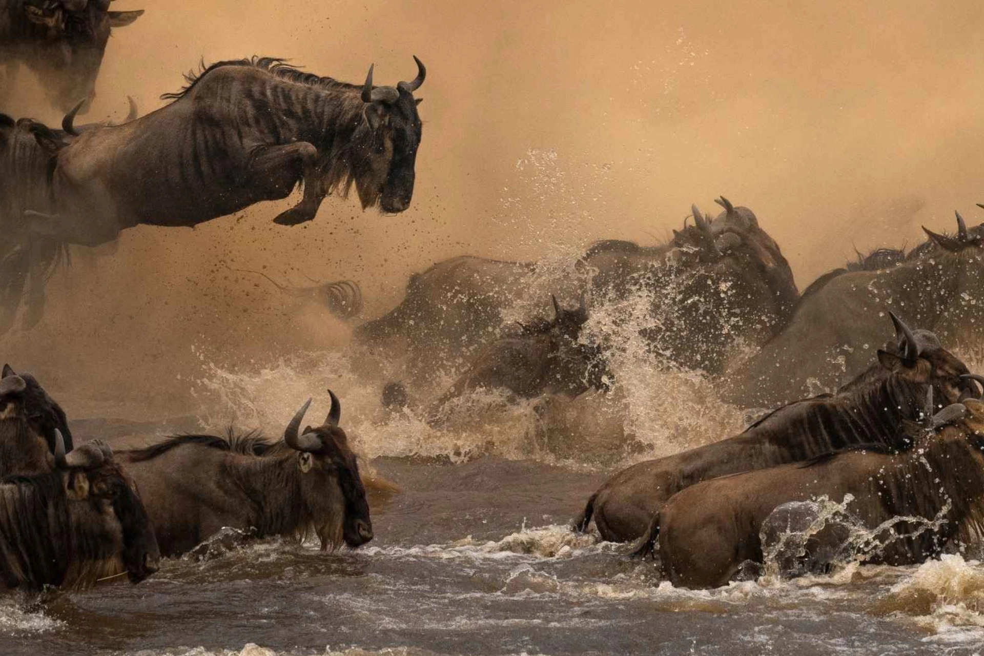 Things To Do In Kenya
