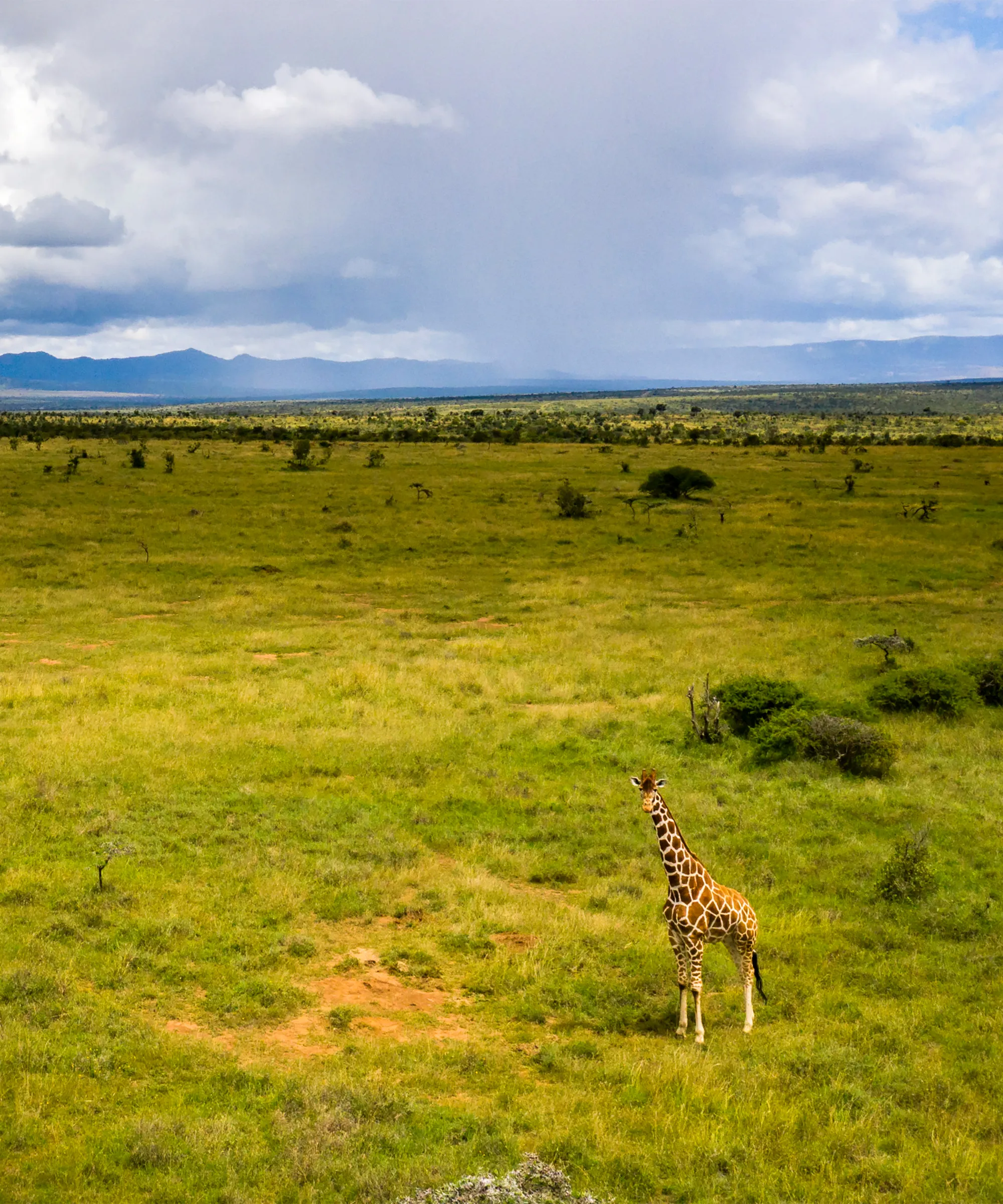 Tsavo East National Park Attraction