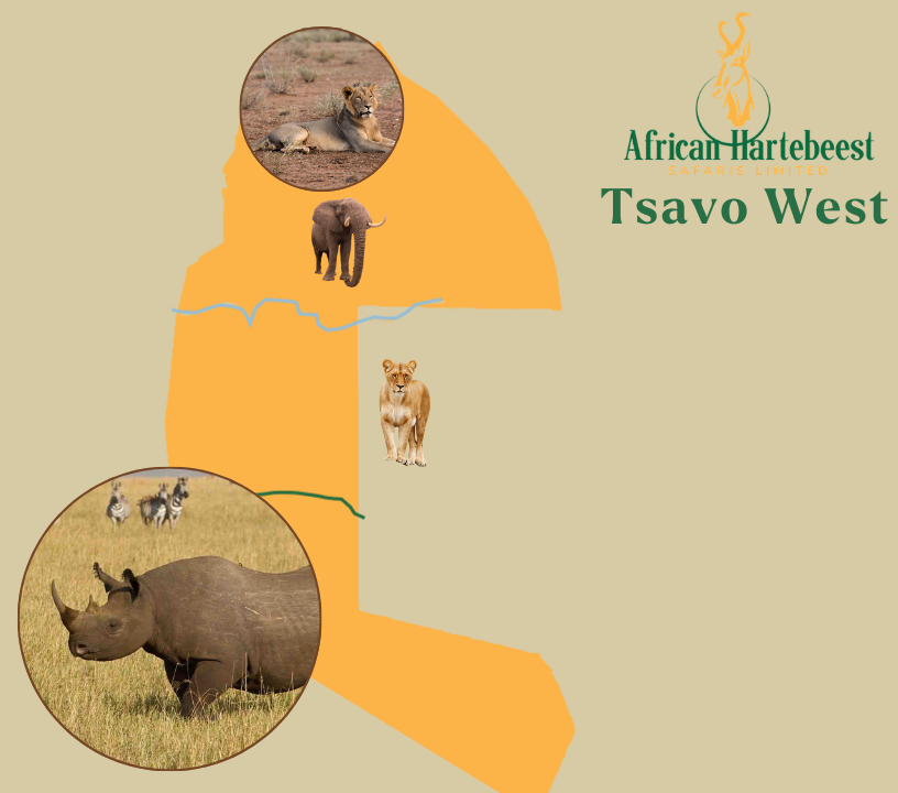 Tsavo West National Park Map