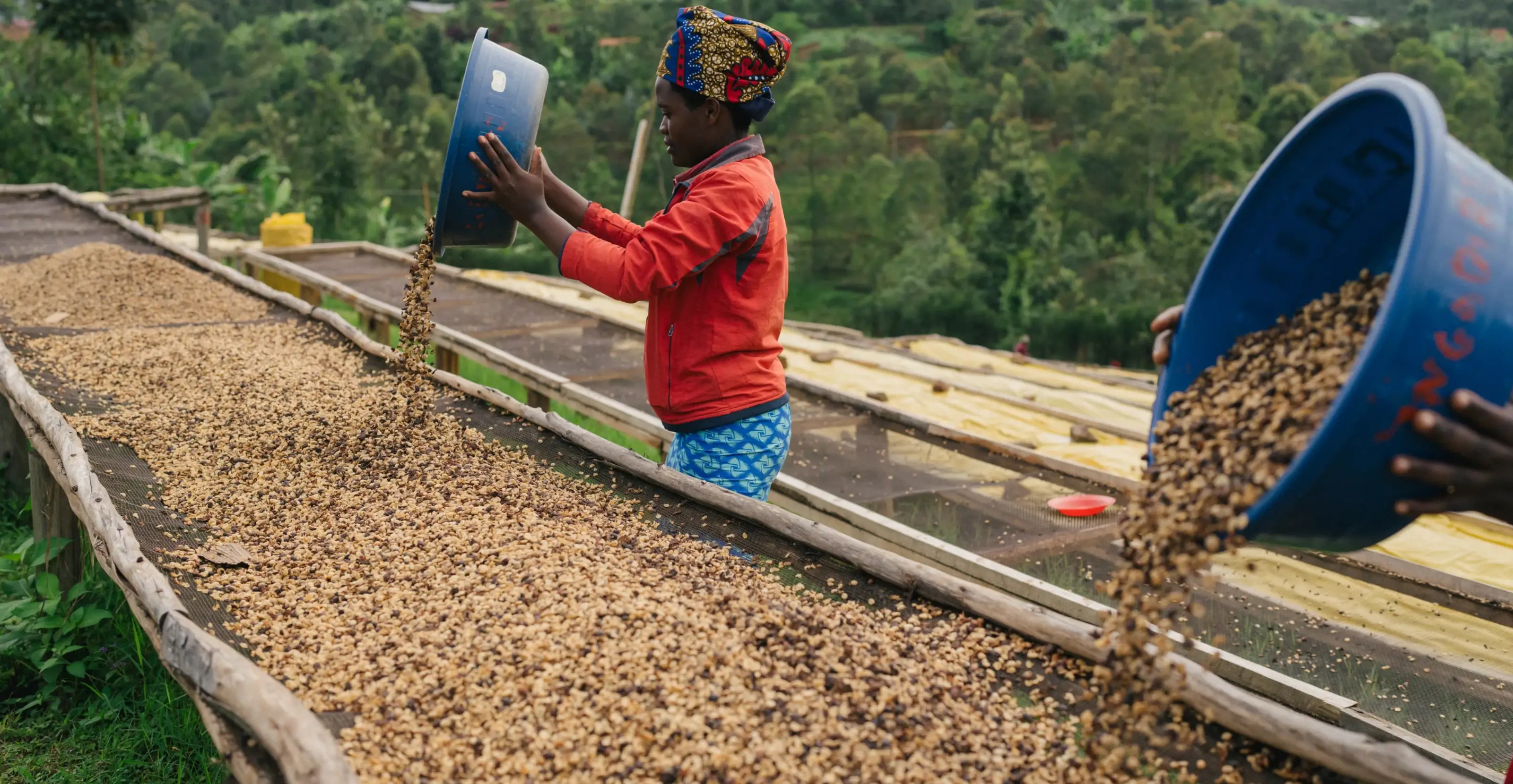 Visiting A Coffee Tour