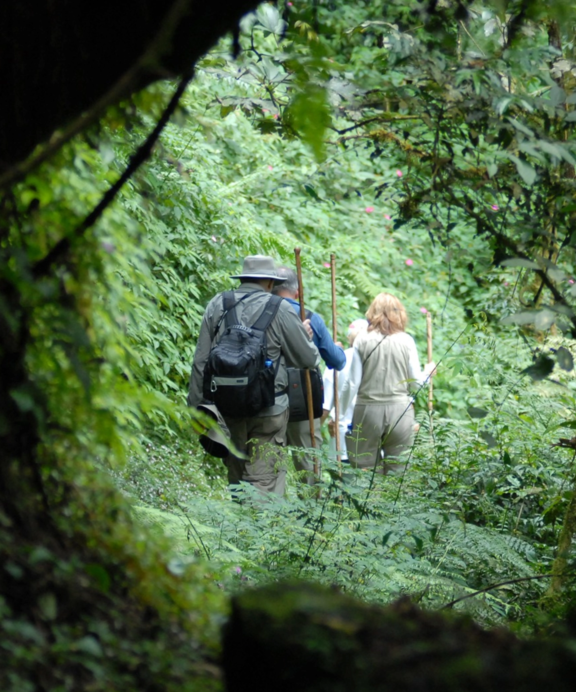 Volcanoes National Park Activities