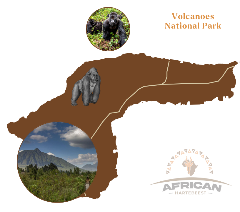 Volcanoes National Park Map