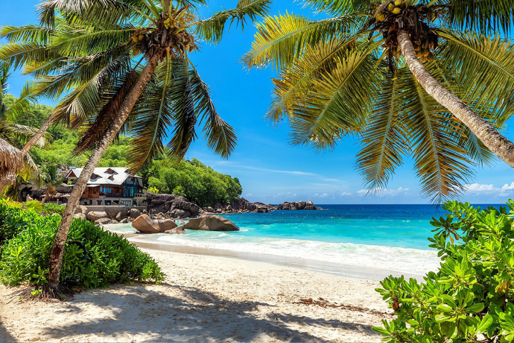10-days-tanzania-safari-and-beach-adventure-5