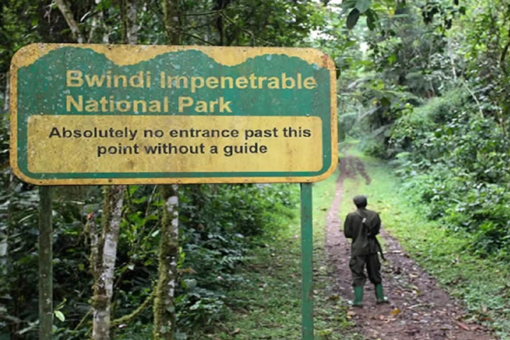 3-days-gorilla-safari-flying-2
