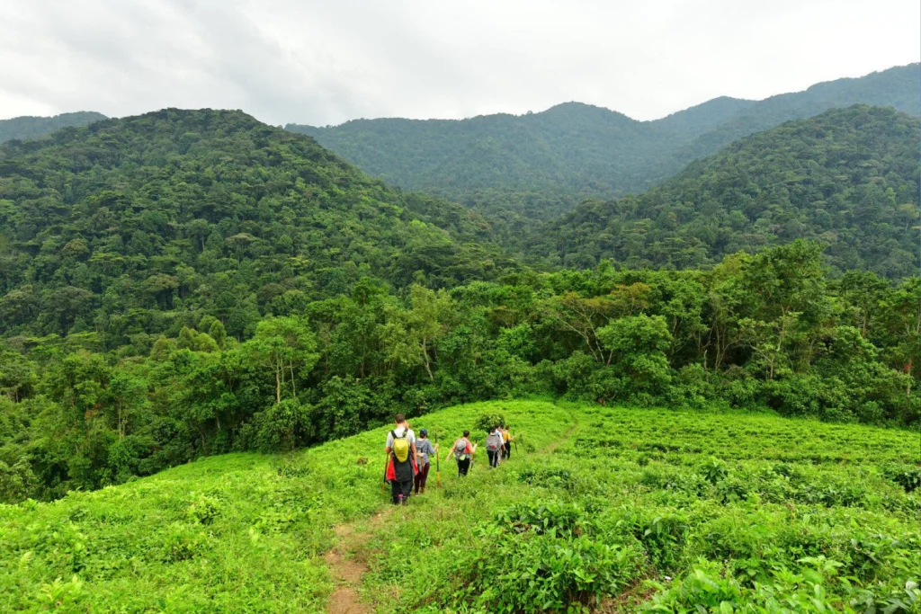 3-days-gorilla-safari-flying-4