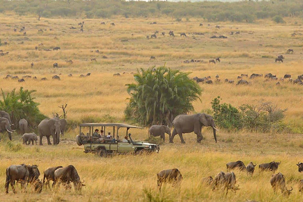 3-days-serengeti-flying-safari-3