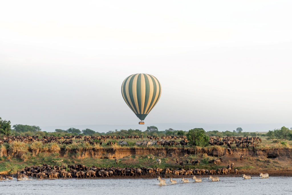 3-days-serengeti-flying-safari-5