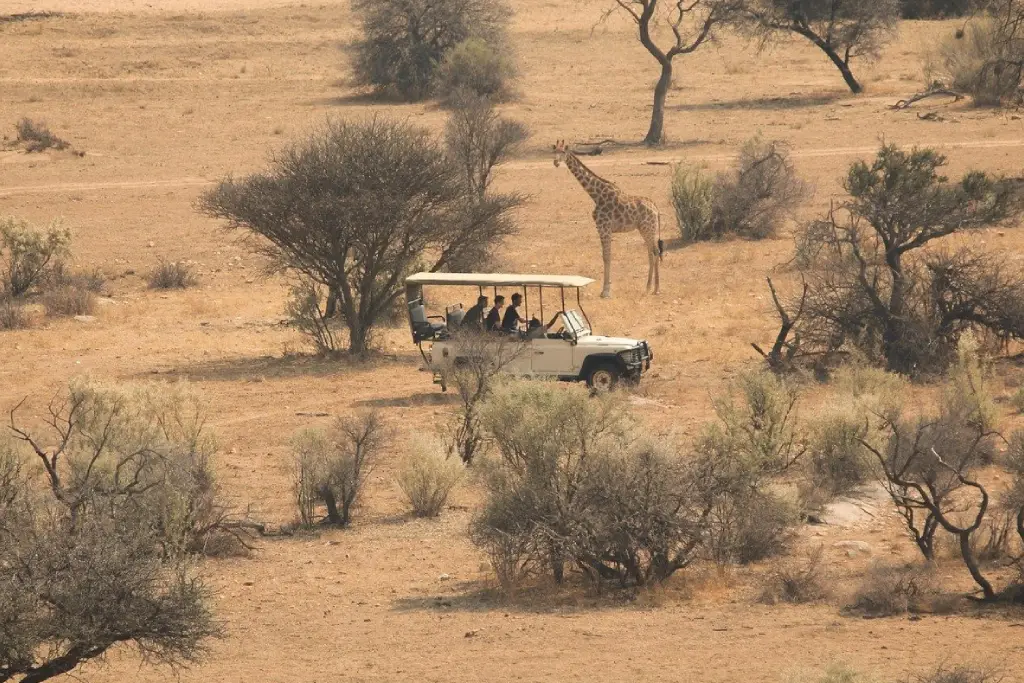 3-days-serengeti-national-park-fly-in-safari-from-zanzibar1