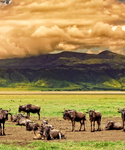 Tanzania
